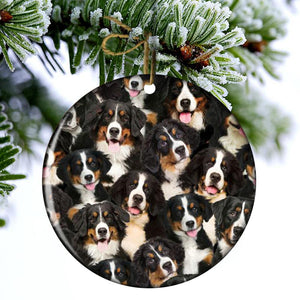 A Bunch Of Bernese Mountains Porcelain/Ceramic Ornament