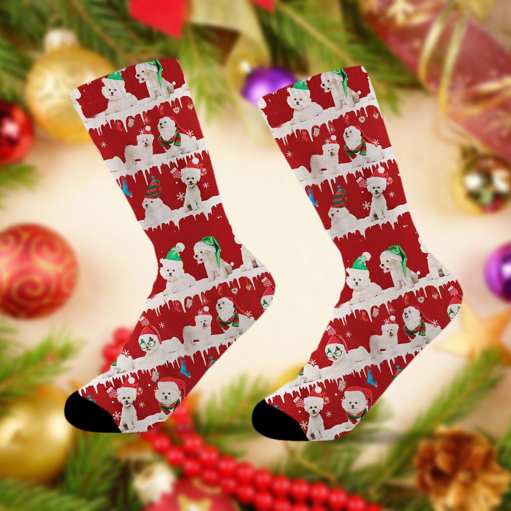 Bichon Frise Merry Christmas Socks