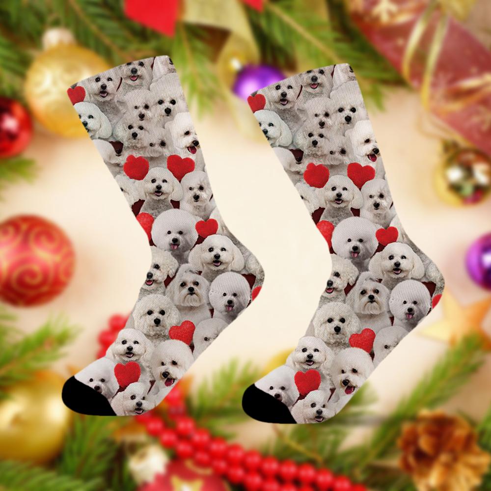 A Bunch Of Bichon Frises Socks