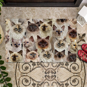 A Bunch Of Birman Cats Doormat