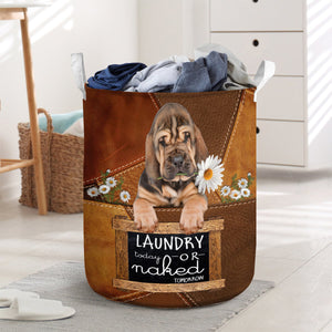 Bloodhound Laundry Today Or Naked Tomorrow Laundry Basket