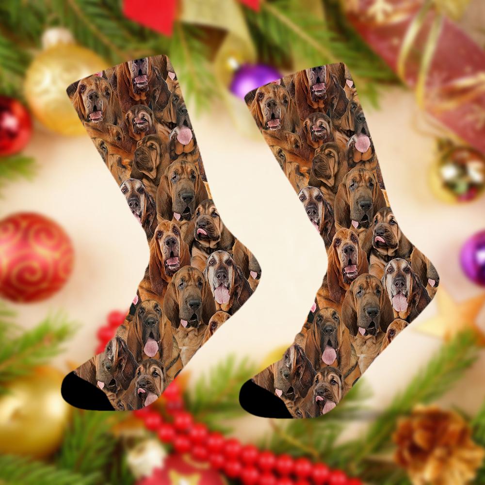 A Bunch Of Bloodhounds Socks