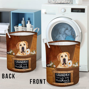 Boerboel Laundry Today Or Naked Tomorrow Laundry Basket