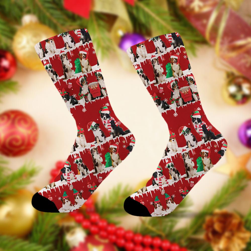 Border Collie Merry Christmas Socks