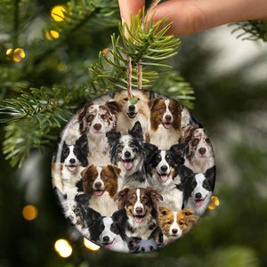 A Bunch Of Border Collies Porcelain/Ceramic Ornament
