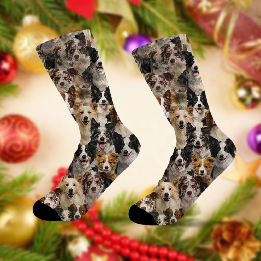 A Bunch Of Border Collies Socks