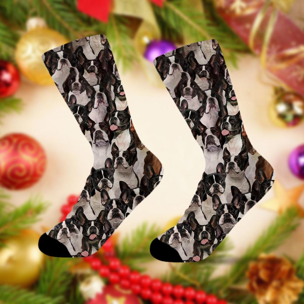 A Bunch Of Boston Terriers Socks