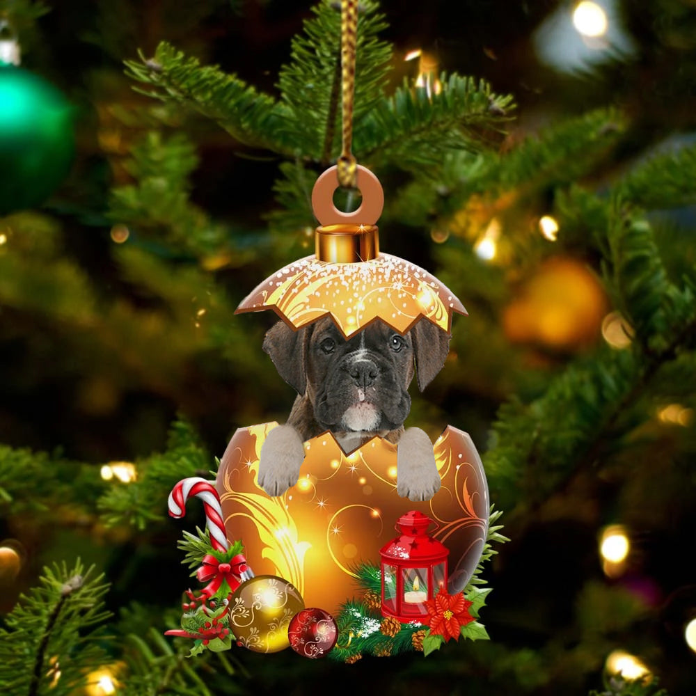 Boxer In Golden Egg Christmas Ornament
