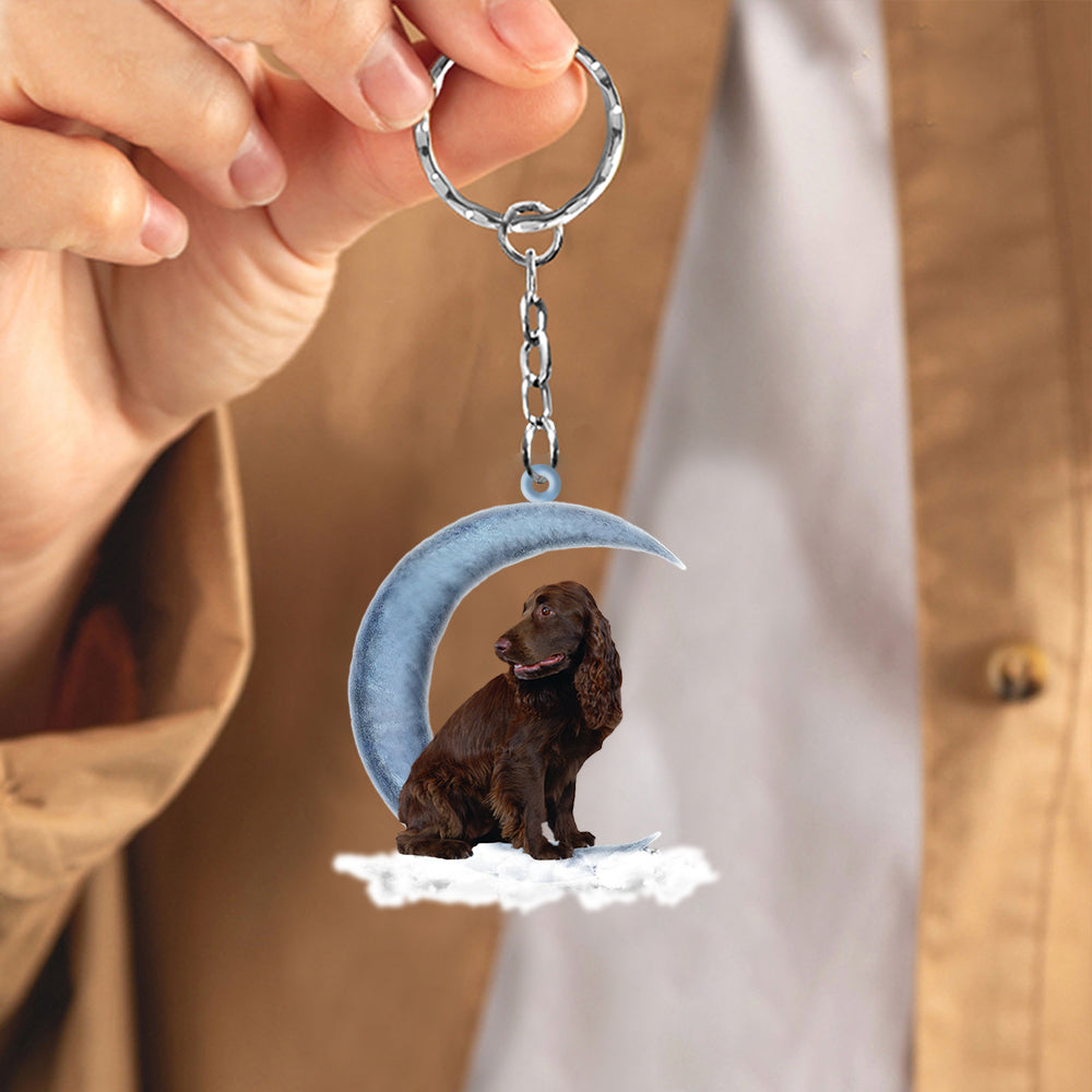 Boykin Spaniel On The Moon Flat Acrylic Keychain