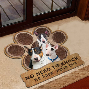 Bull Terrier5 No Need To Knock We Know You're Here Custom Doormat