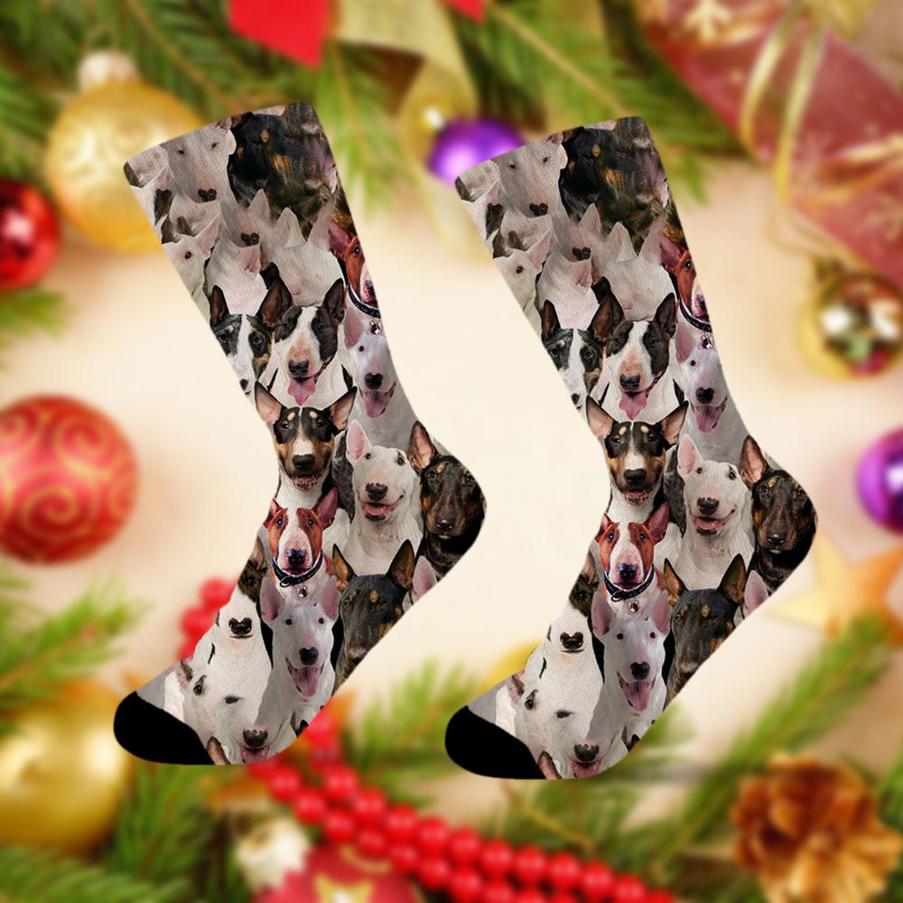 A Bunch Of Bull Terriers Socks