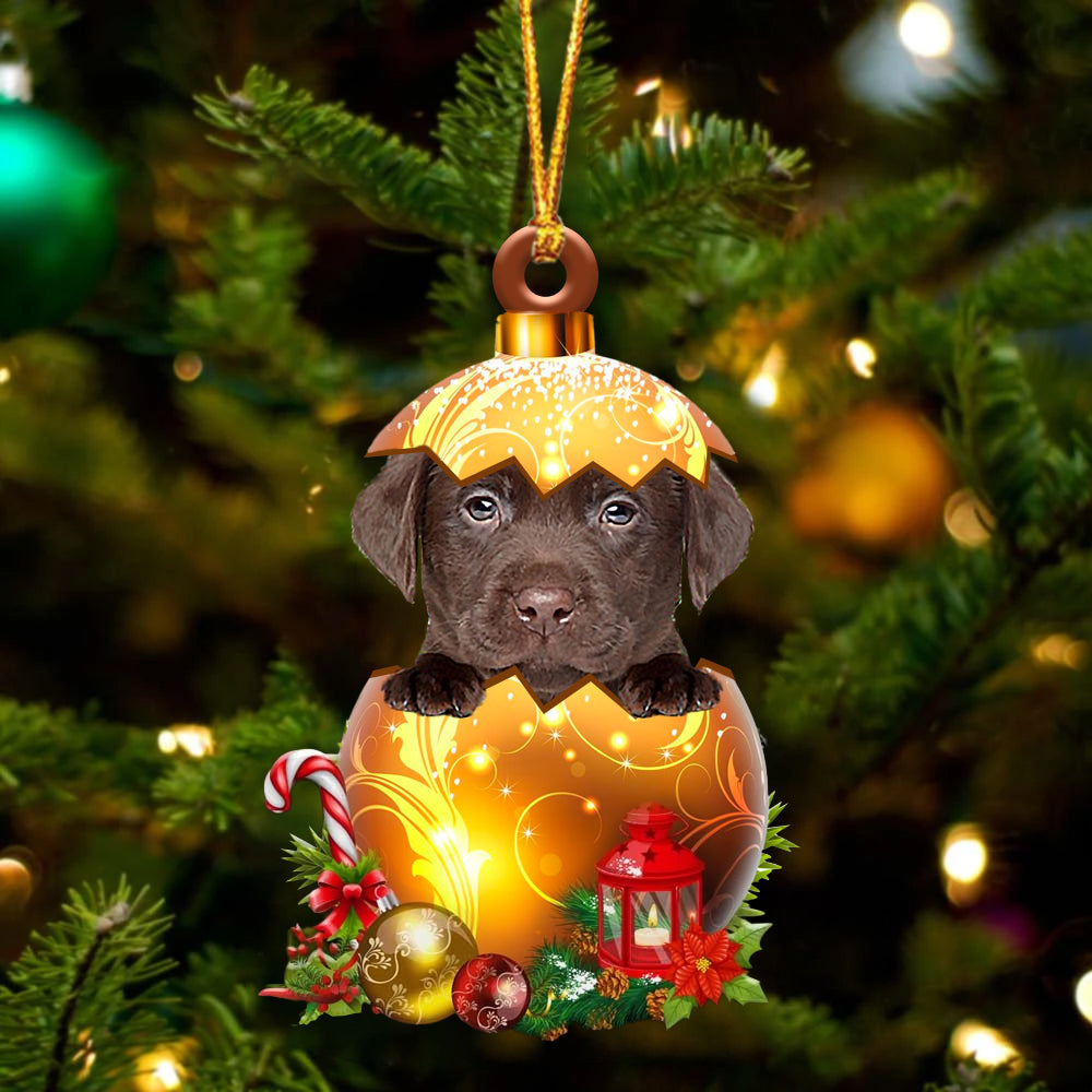 CHOCOLATE Labrador In Golden Egg Christmas Ornament