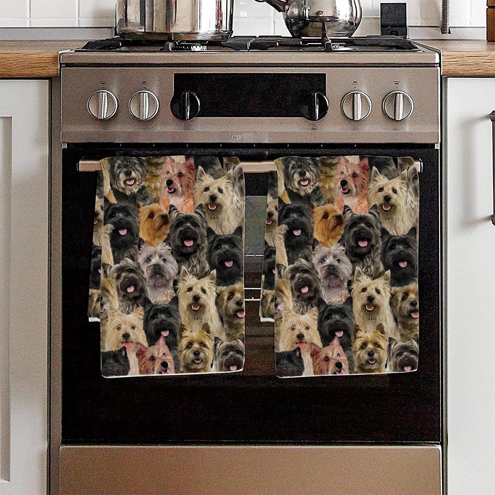 A Bunch Of Cairn Terriers Kitchen Towel