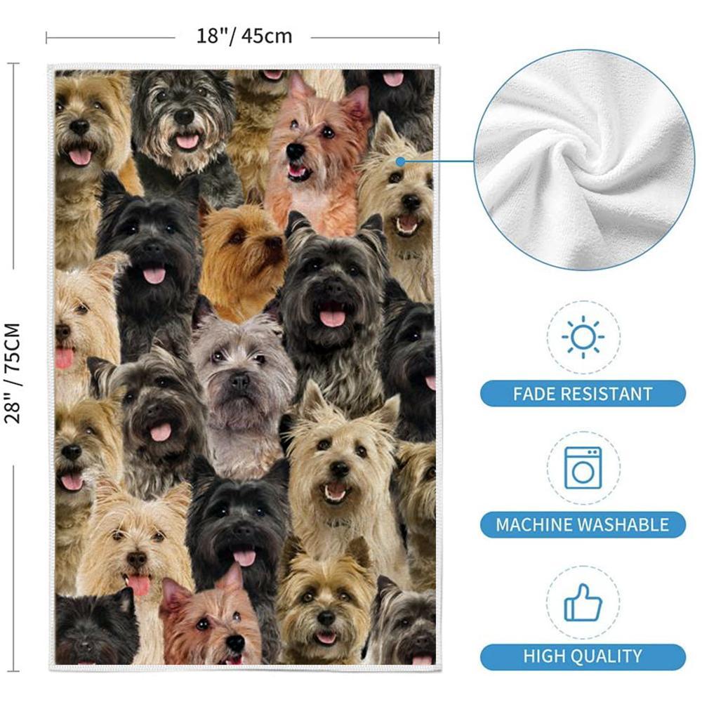 A Bunch Of Cairn Terriers Kitchen Towel