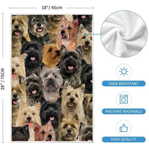 A Bunch Of Cairn Terriers Kitchen Towel