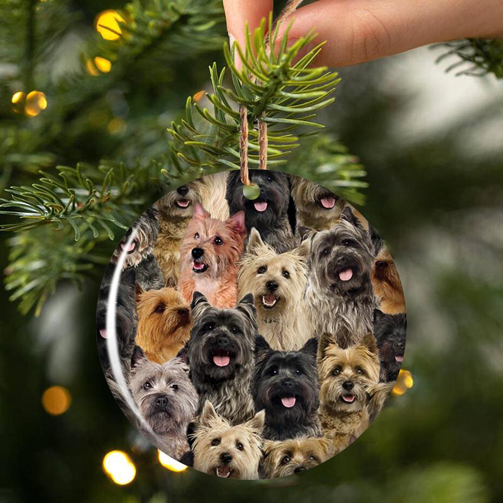A Bunch Of Cairn Terriers Porcelain/Ceramic Ornament