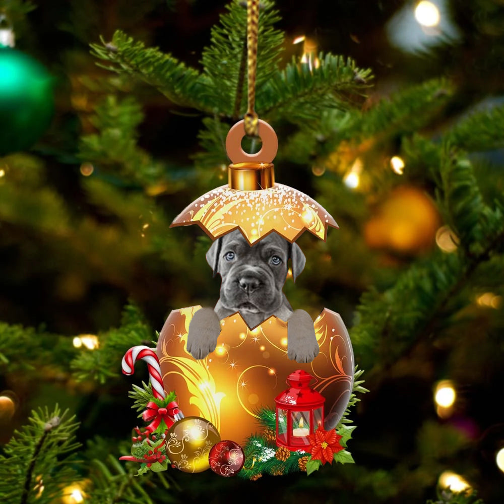 Cane-Corso In Golden Egg Christmas Ornament