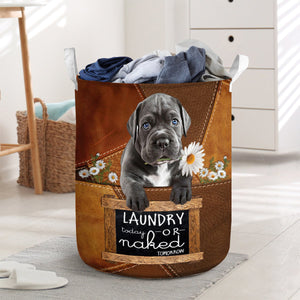 Cane Corso Laundry Today Or Naked Tomorrow Laundry Basket