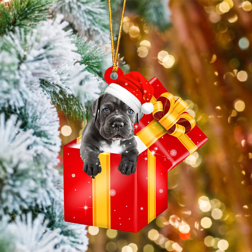 Cane Corso In Red Gift Box Christmas Ornament