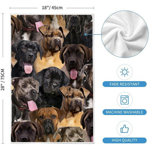 A Bunch Of Cane Corsos Kitchen Towel