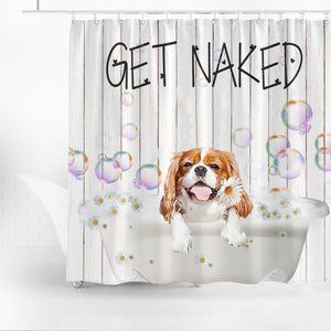 Cavalier King Charles Spaniel06 Get Naked Daisy Shower Curtain