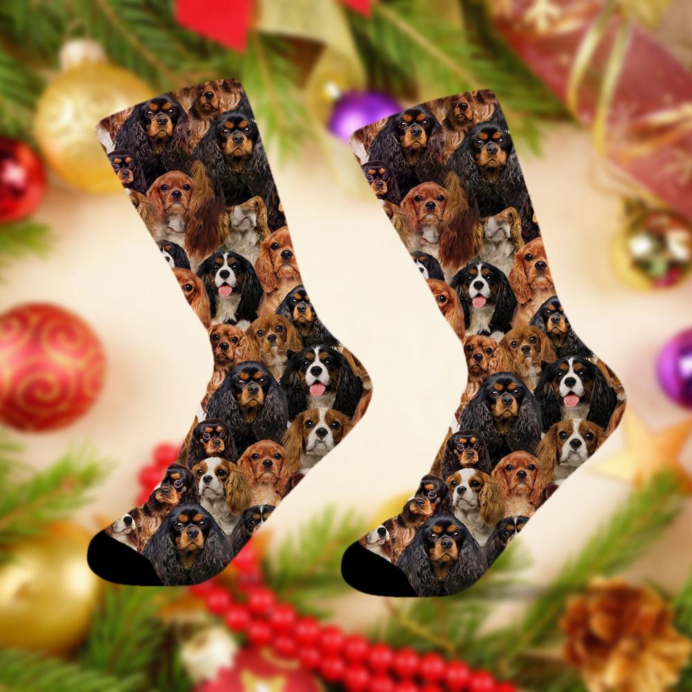 A Bunch Of Cavalier King Charles Spaniels Socks