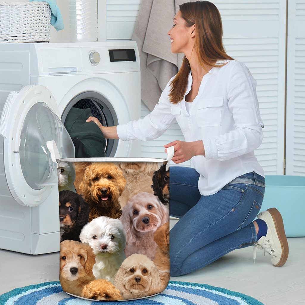 Cavapoo In Basket A Bunch Of Cavapoos Laundry Basket - OKBANDS