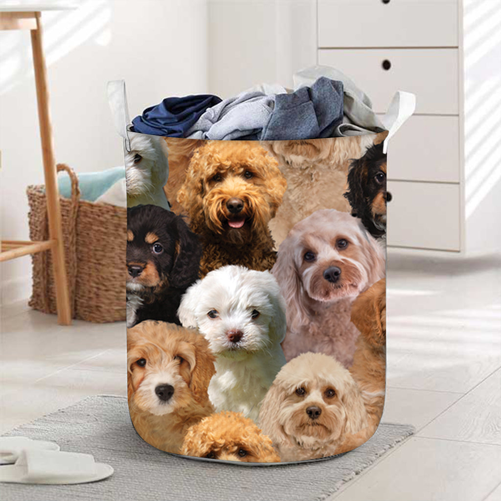 Cavapoo In Basket A Bunch Of Cavapoos Laundry Basket - OKBANDS