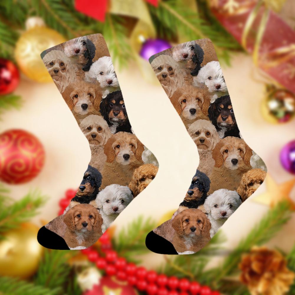 A Bunch Of Cavapoos Socks