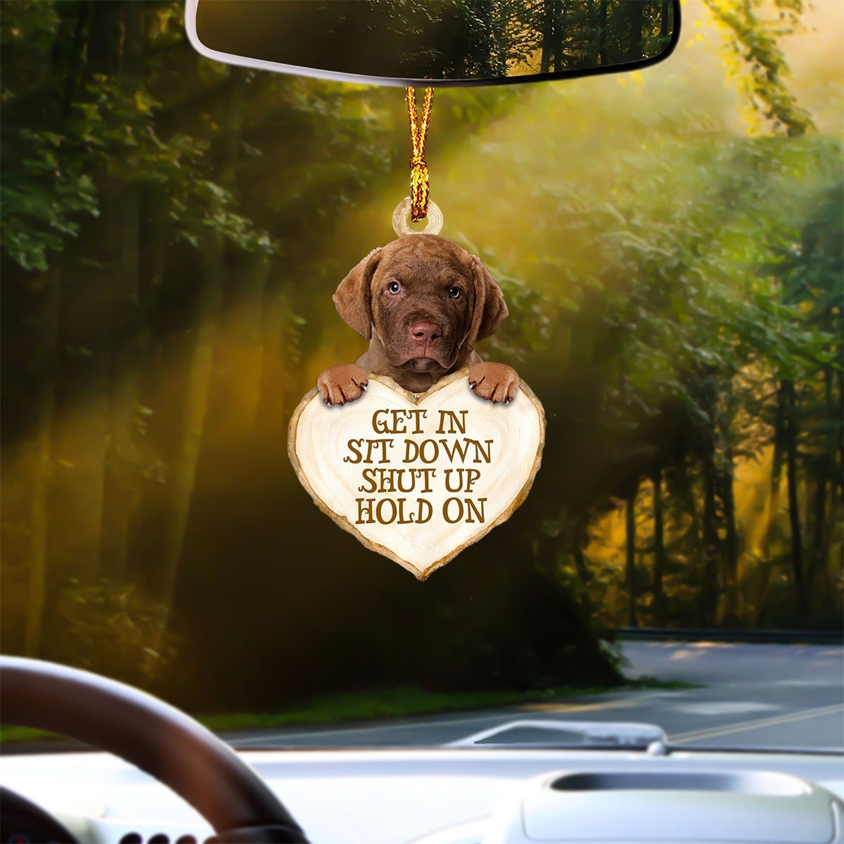 Chesapeake Bay Retriever Heart Shape Get In Car Hanging Ornament