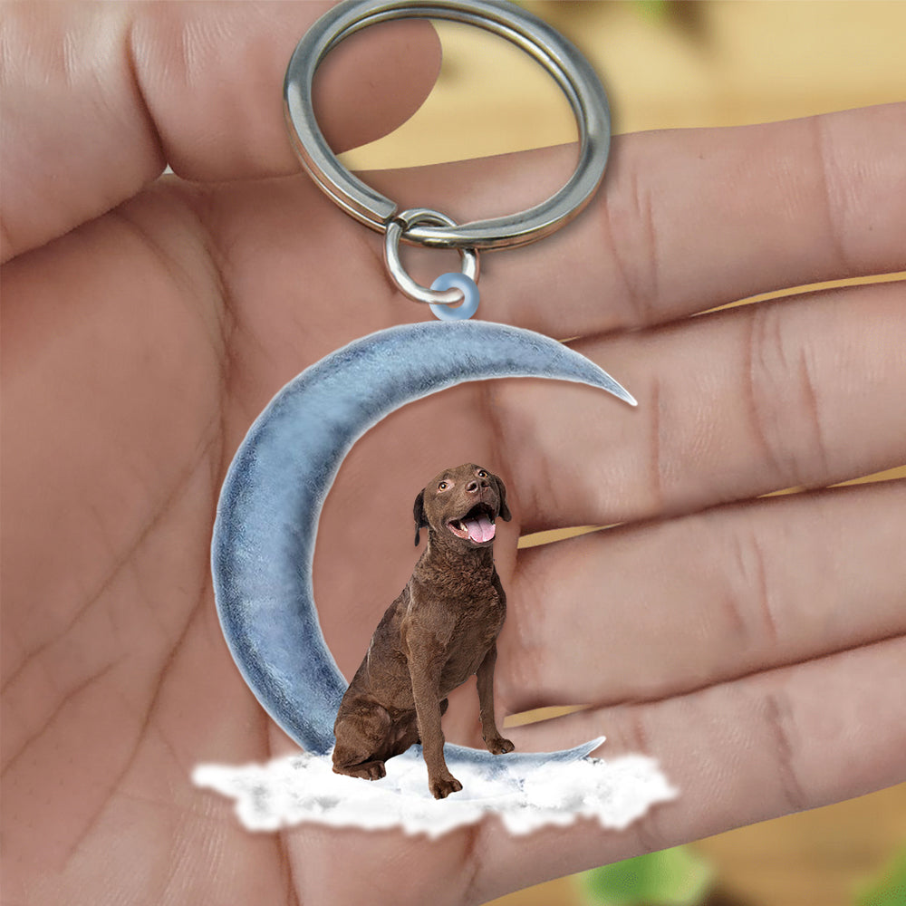 Chesapeake Bay Retriever On The Moon Flat Acrylic Keychain