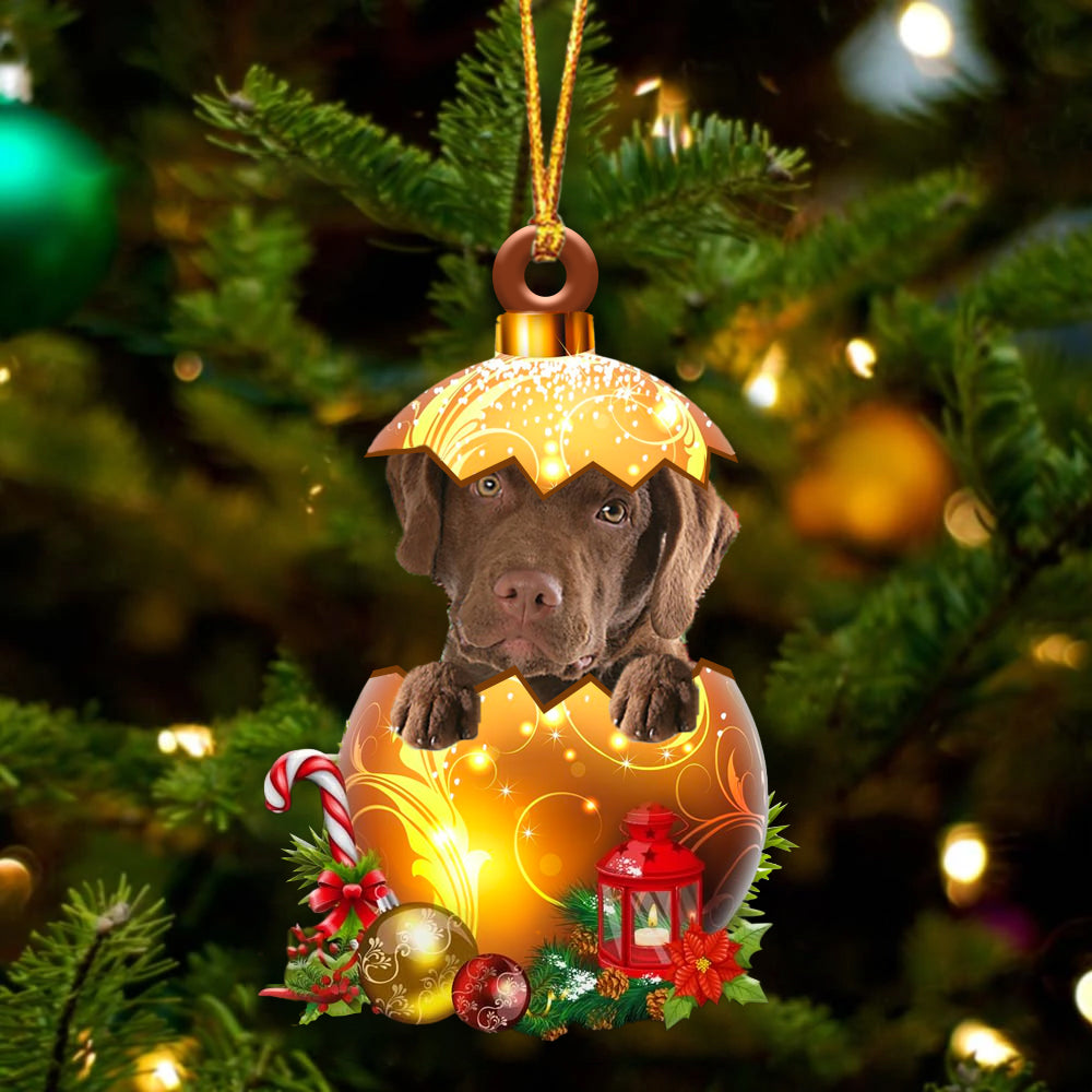 Chesapeake Bay Retriever In Golden Egg Christmas Ornament