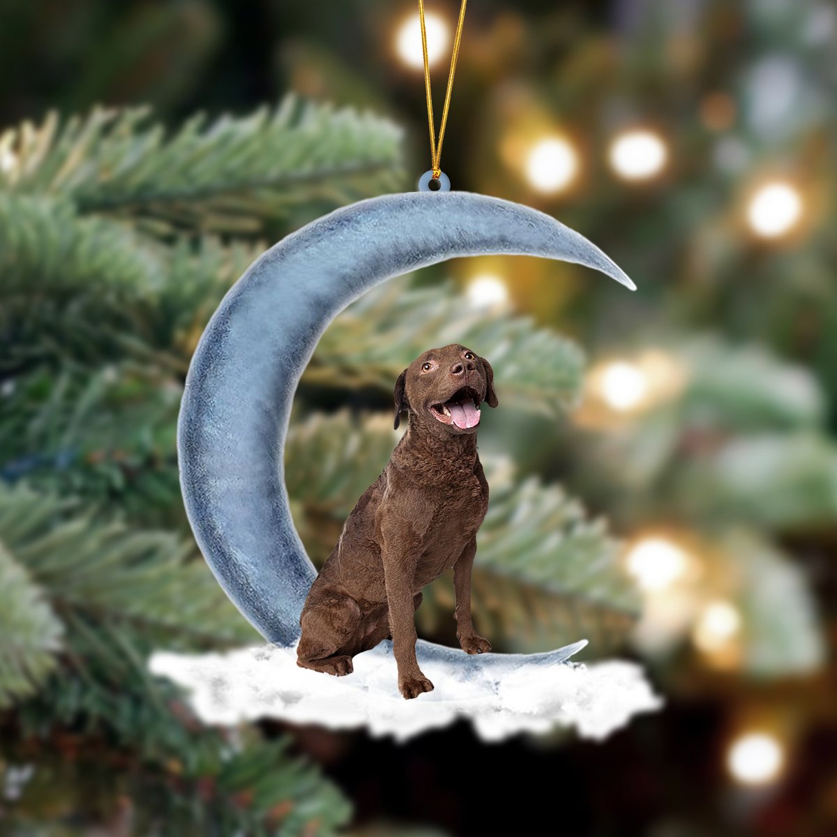 Chesapeake Bay Retriever Sits On The Moon Hanging Ornament