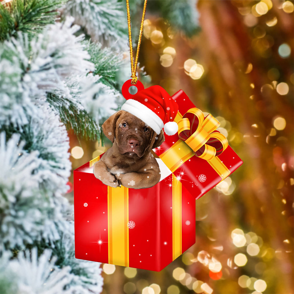 Chesapeake Bay Retriever In Red Gift Box Christmas Ornament