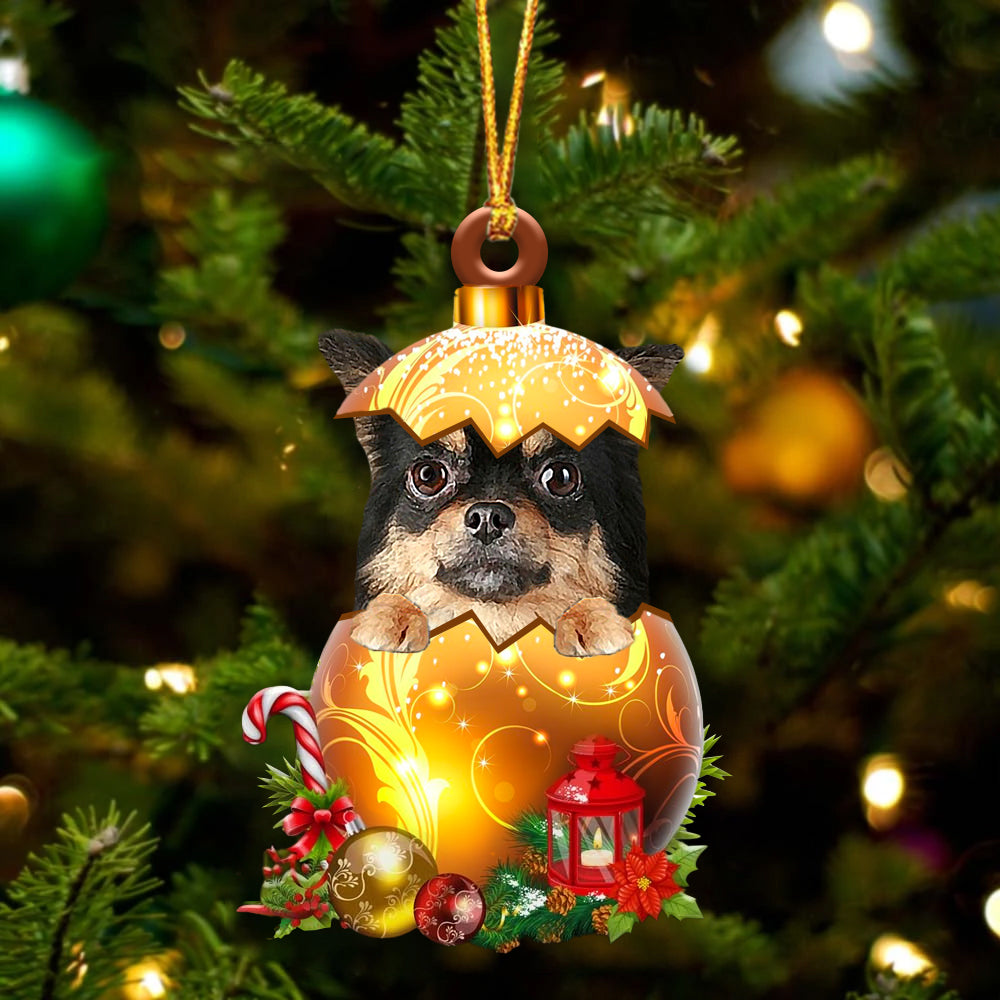 Chihuahua Long haired In Golden Egg Christmas Ornament