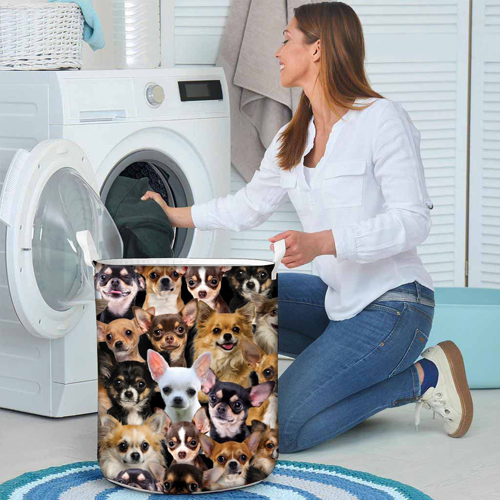 A Bunch Of Chihuahuas Laundry Basket