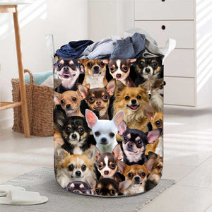 A Bunch Of Chihuahuas Laundry Basket