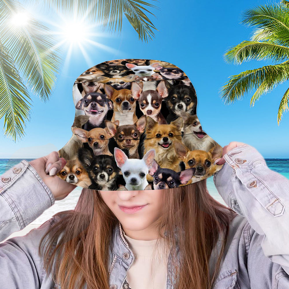 A Bunch Of Chihuahuas Bucket Hat