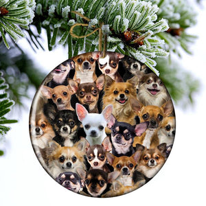 A Bunch Of Chihuahuas Porcelain/Ceramic Ornament