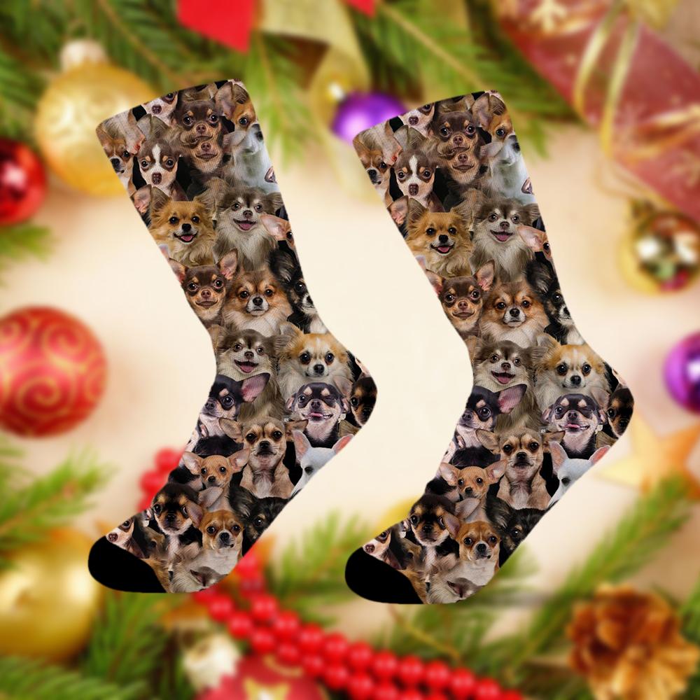 A Bunch Of Chihuahuas Socks