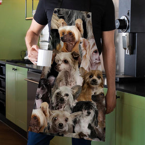 A Bunch Of Chinese Cresteds Apron/Great Gift Idea For Christmas