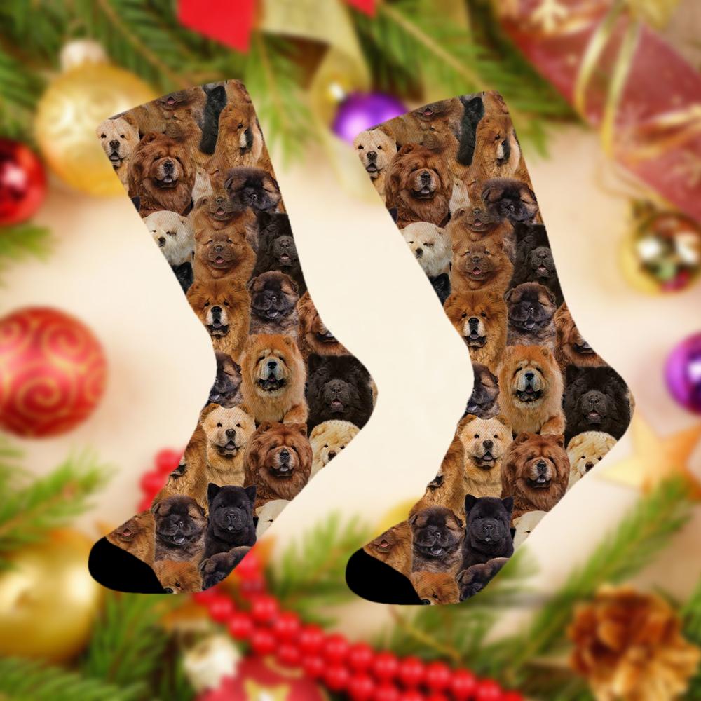 A Bunch Of Chow Chows Socks