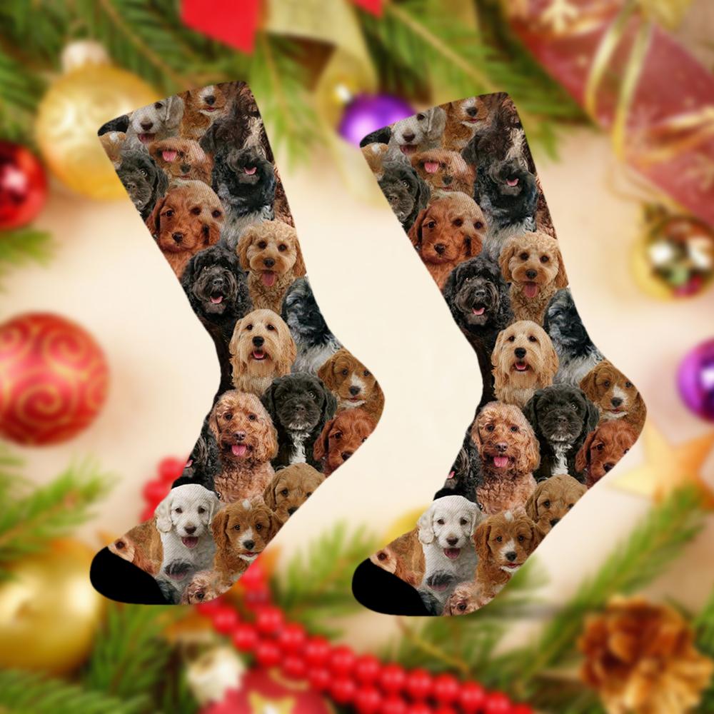 A Bunch Of Cockapoos Socks