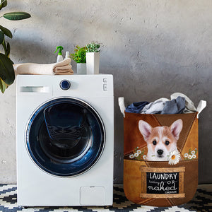 Corgi Laundry Today Or Naked Tomorrow Laundry Basket