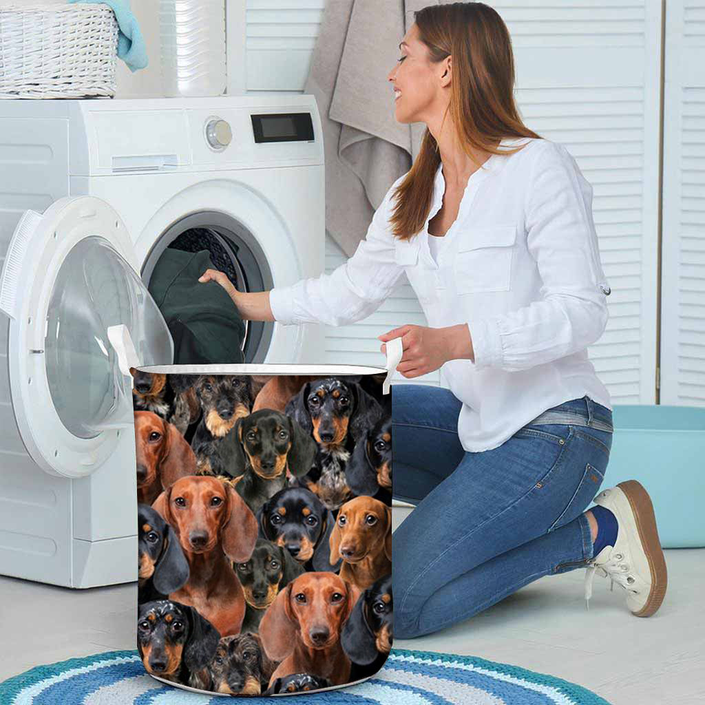 A Bunch Of Dachshunds Laundry Basket