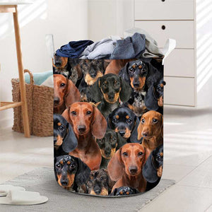 A Bunch Of Dachshunds Laundry Basket