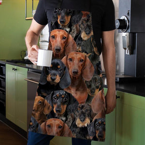 A Bunch Of Dachshunds Apron/Great Gift Idea For Christmas