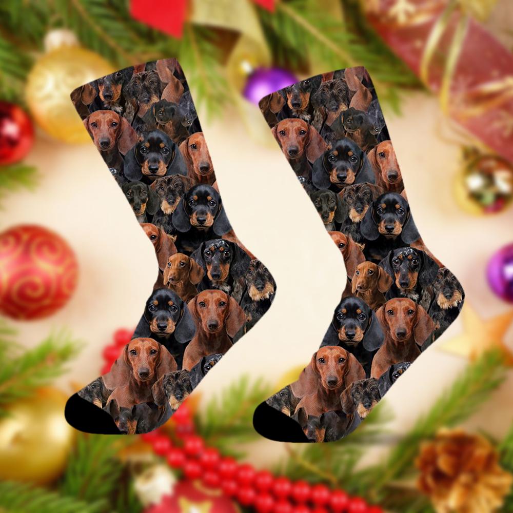A Bunch Of Dachshunds Socks