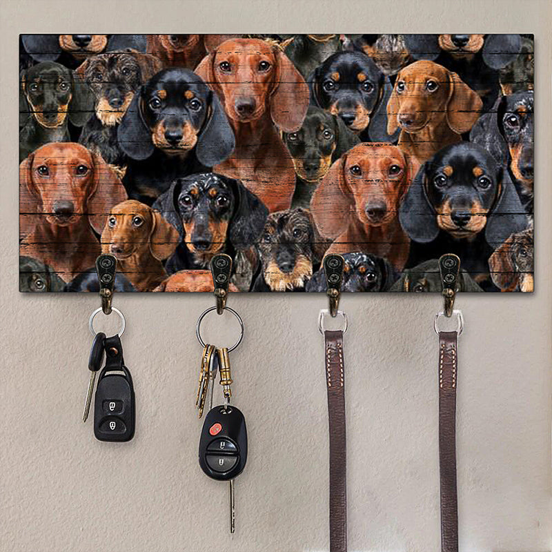 A Bunch Of Dachshunds Key Hanger