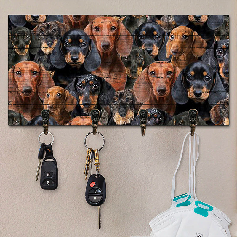 A Bunch Of Dachshunds Key Hanger